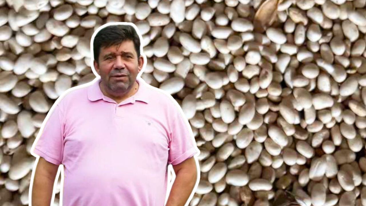 Fermierul Constantin Mihalache a recoltat primele hectare cu un soi de fasole care fierbe repede. Producția o vinde cu 10 lei/kg