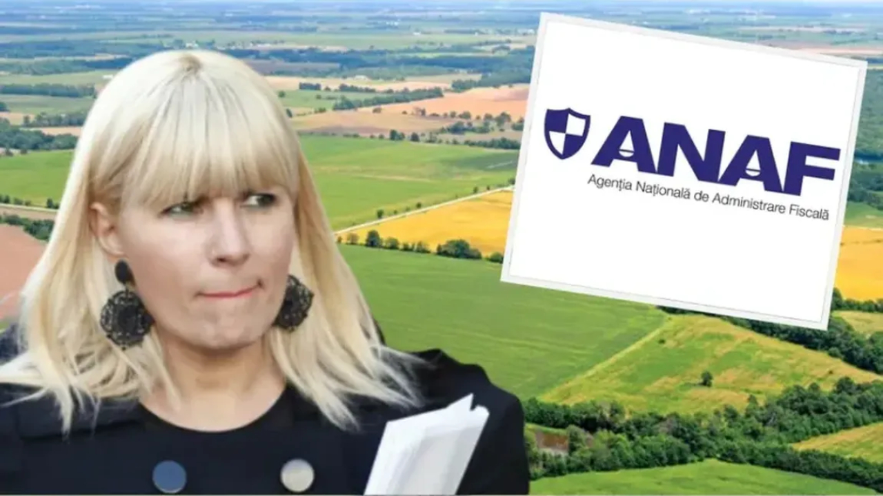 ANAF vinde la licitație ferma Elenei Udrea de 40 de hectare. Prețul de pornire pentru terenurile de la Nana