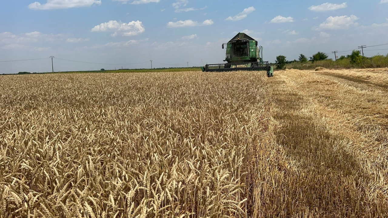Agrointeligența a cerut APIA să clarifice situația subvențiilor blocate la plată, dar și cum se vor derula controalele în ferme