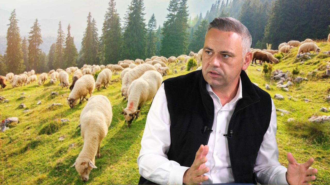 Florin Barbu, anunț despre interzicerea exportului de animale vii