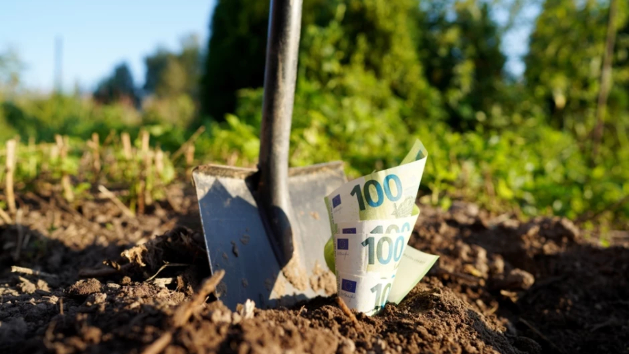 Plafonarea subvențiilor în noua PAC – model de calcul pentru o fermă de 1.000 de hectare