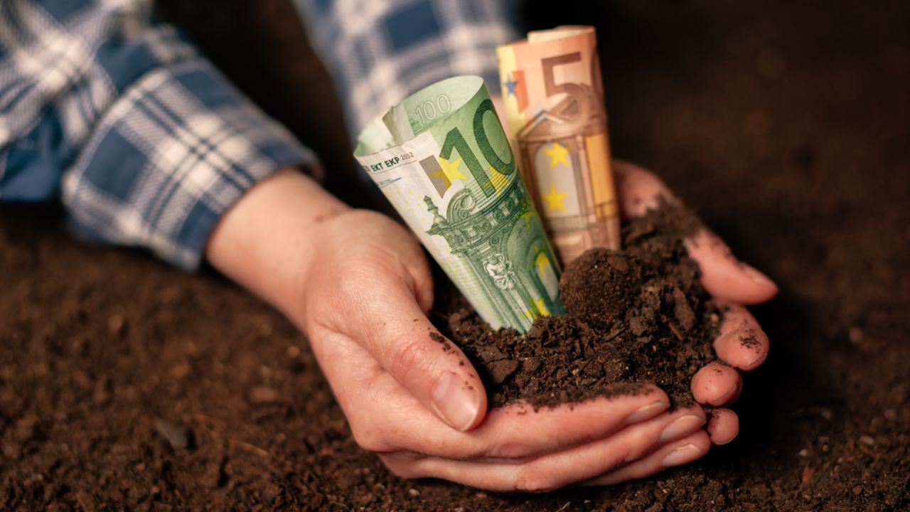 Document al Comisiei Europene: Subvențiile APIA – plafonate la 100.000 de euro, plăți mai mari pentru micii fermieri