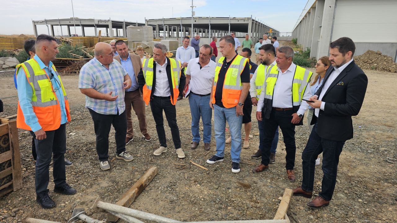 Programele pentru zootehnie dau roade. Datele INS arată că producția de carne este în creștere față de anul trecut