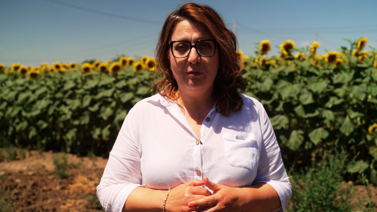 Simona Boboc lângă hibridul Skyline, de la Soufflet Agro