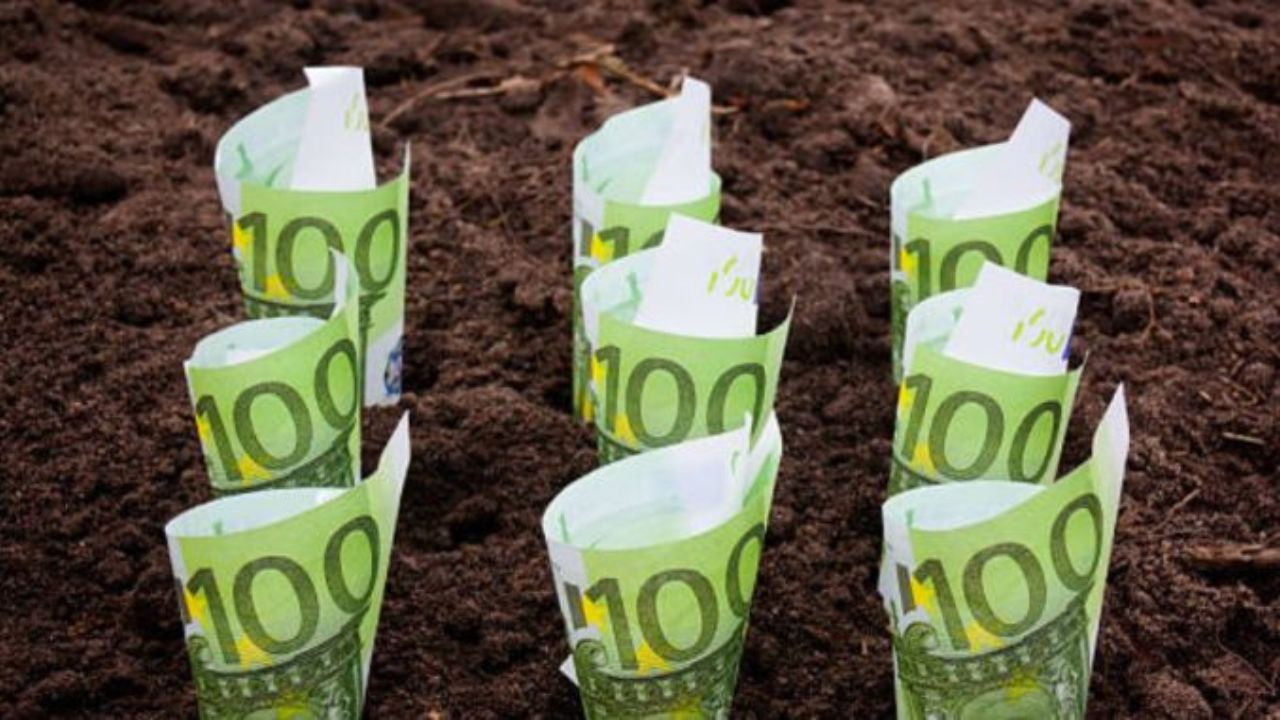 Grant de 30.000 euro/proiect pentru tinerii care pornesc o afacere nouă. Cererile, din 15 septembrie