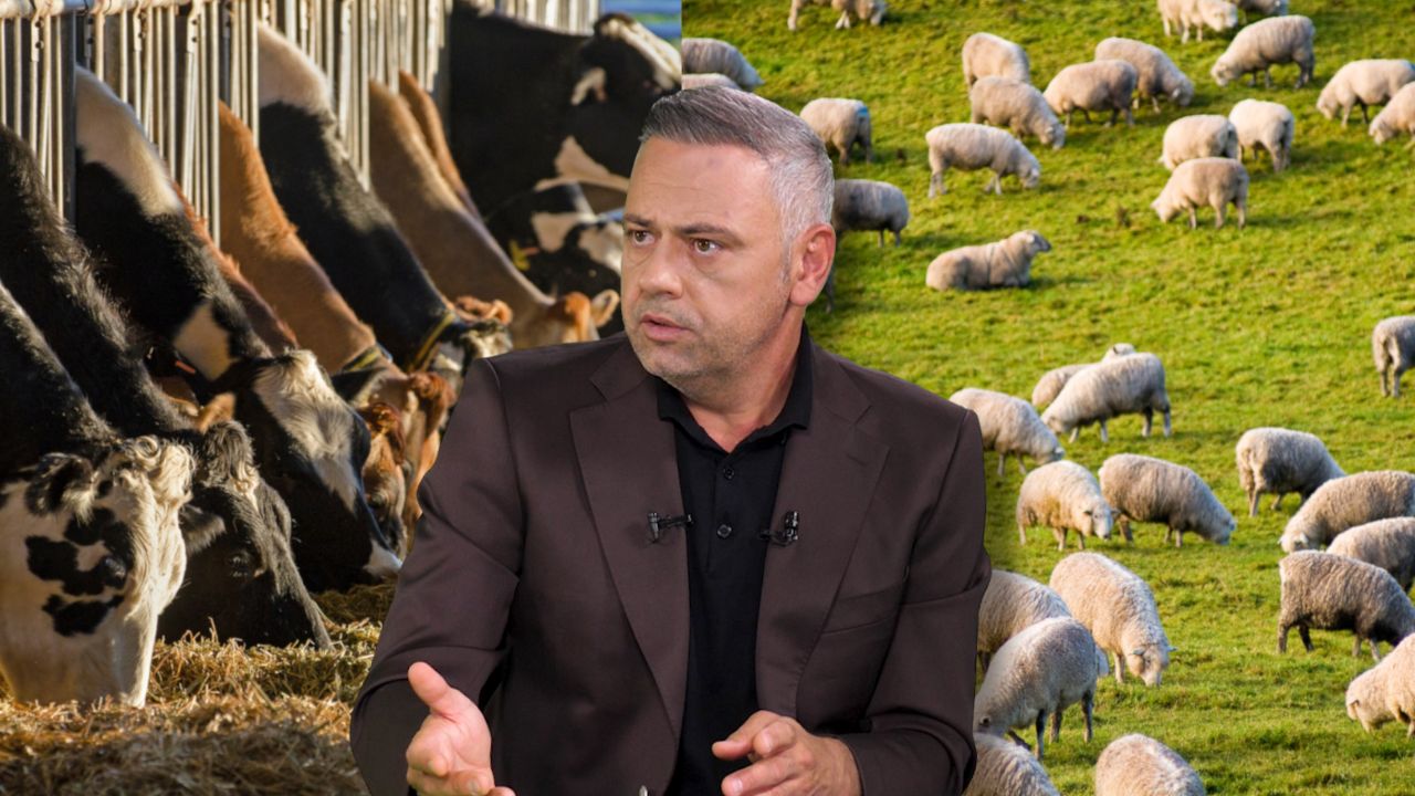Ministrul Barbu le dă o veste bună crescătorilor de animale care vor fonduri europene
