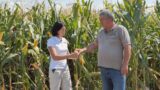 Marius Jilăveanu și Lise Grimoux - Jurnal de fermă by MAS Seeds