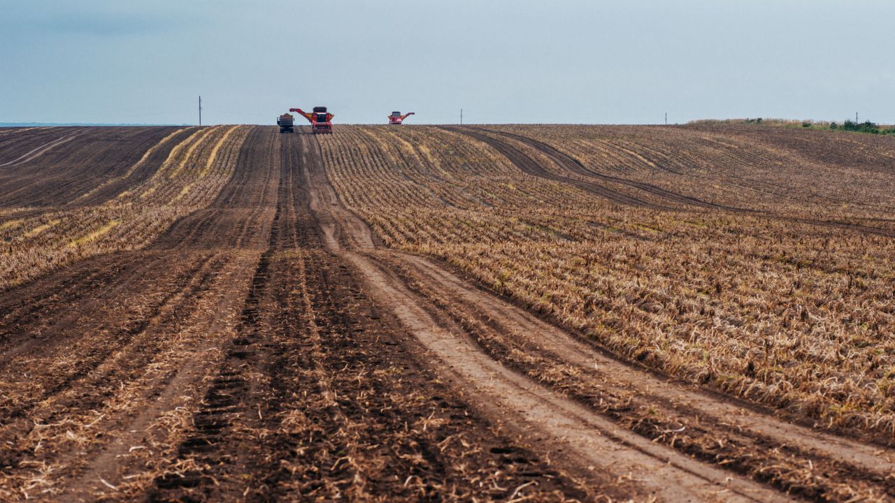 Licitație deschisă de ADS pentru 2.000 ha de teren agricol. Lista suprafețelor disponibile