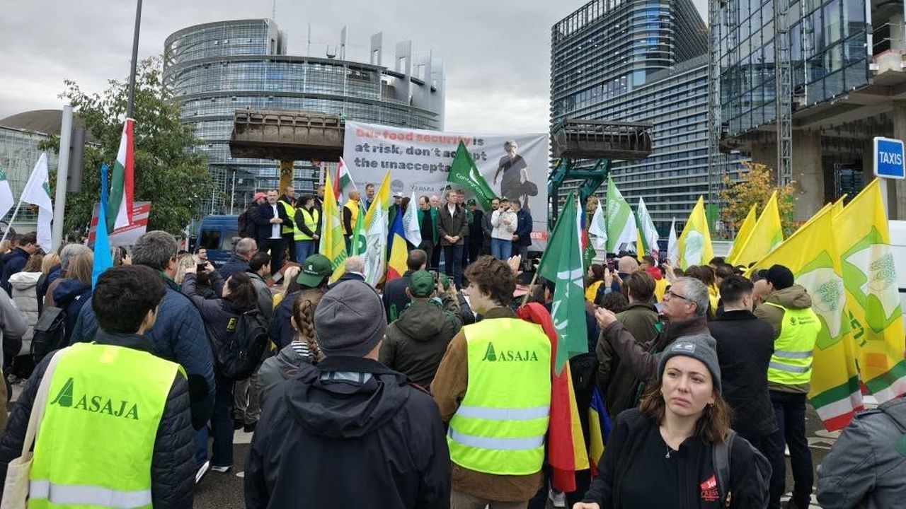 multime-fermieri-strasbourg