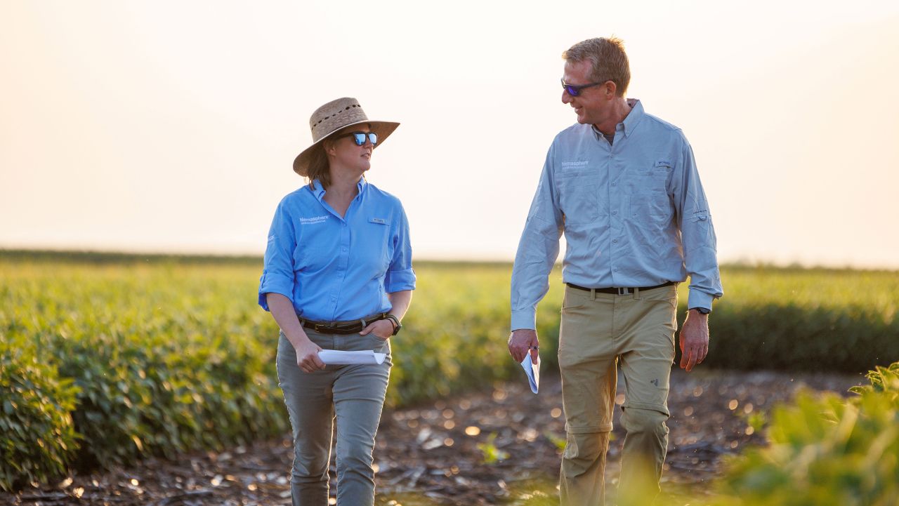 BASF vizează Bursa de Valori din Frankfurt pentru listarea Agricultural Solutions și îi prezintă noul Consiliu de Administrație