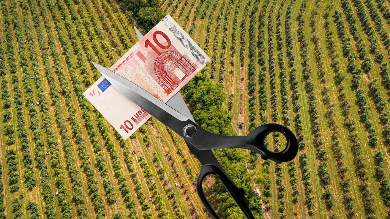 Cuantumuri diminuate la APIA