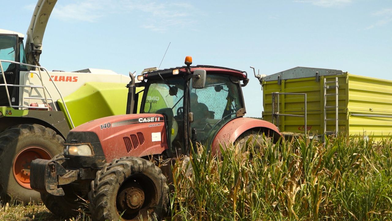 Calendar pentru accesarea fondurilor europene de la AFIR