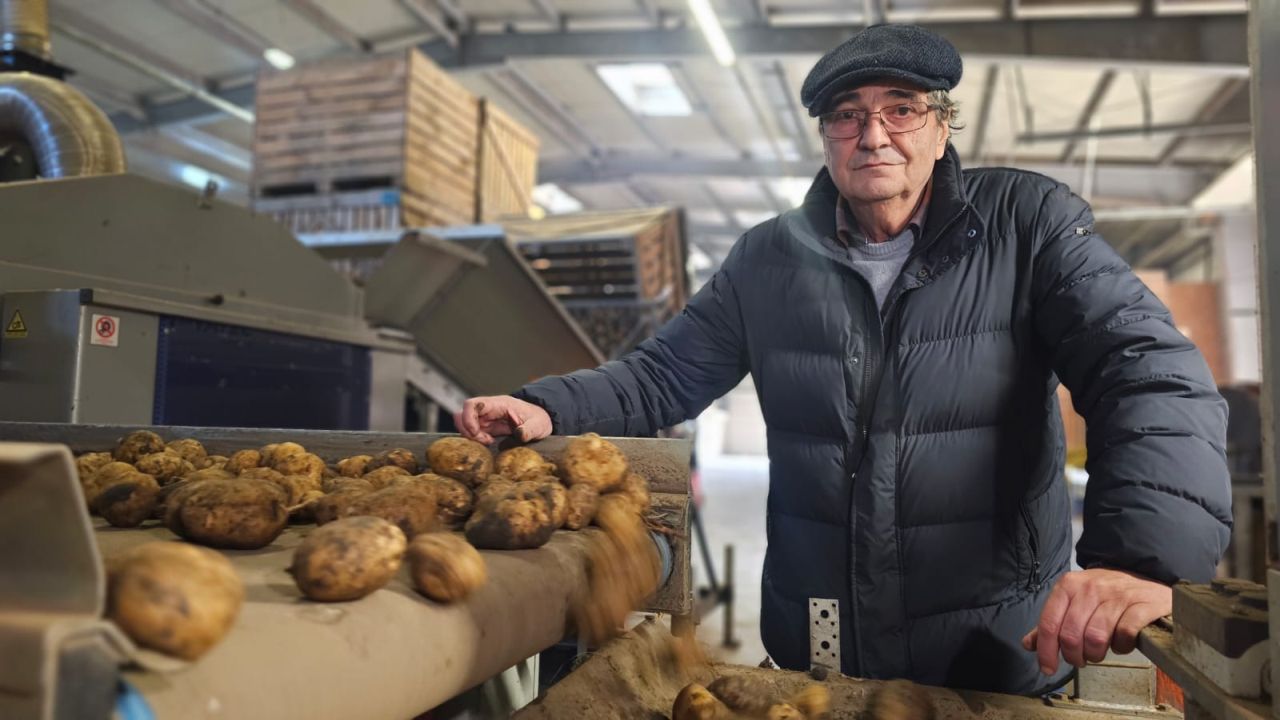 Fermierul Sorin Mănoiu selectează cartofii pe linia automatizată