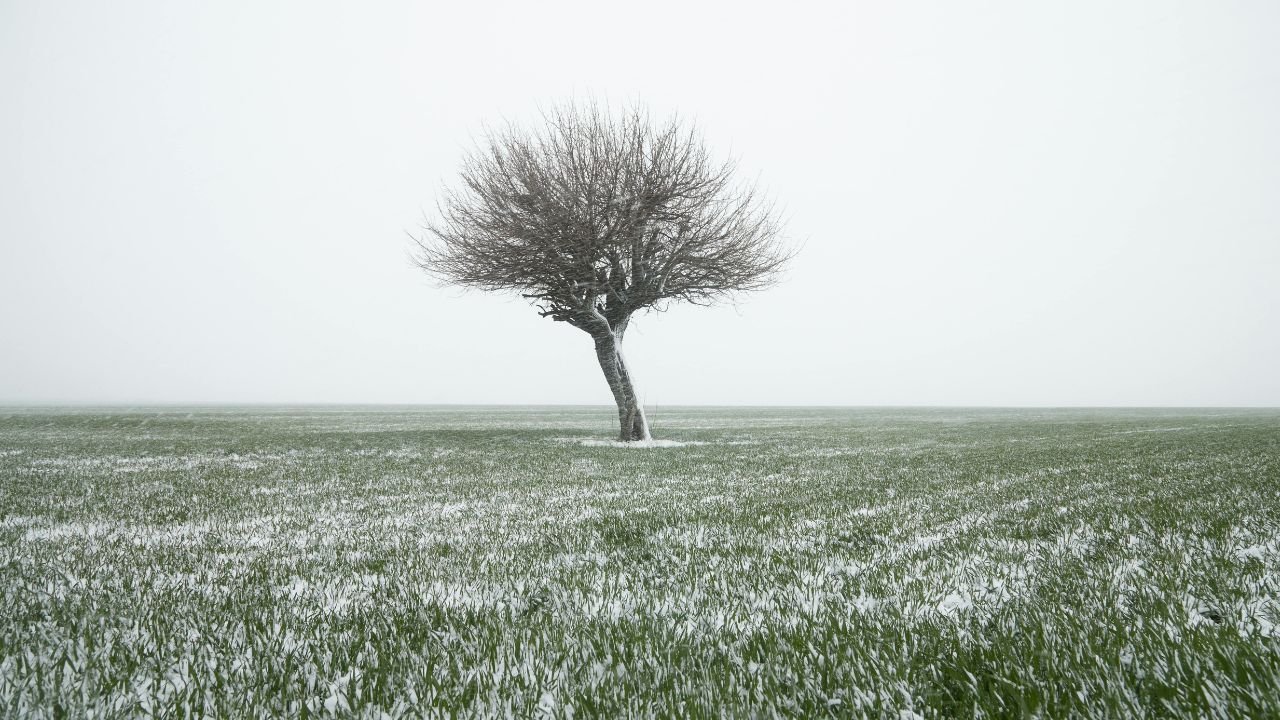 Alertă ANM: Fenomenele meteo de iarnă continuă, polei, viscol și rafale de vânt de până la 130 km/h