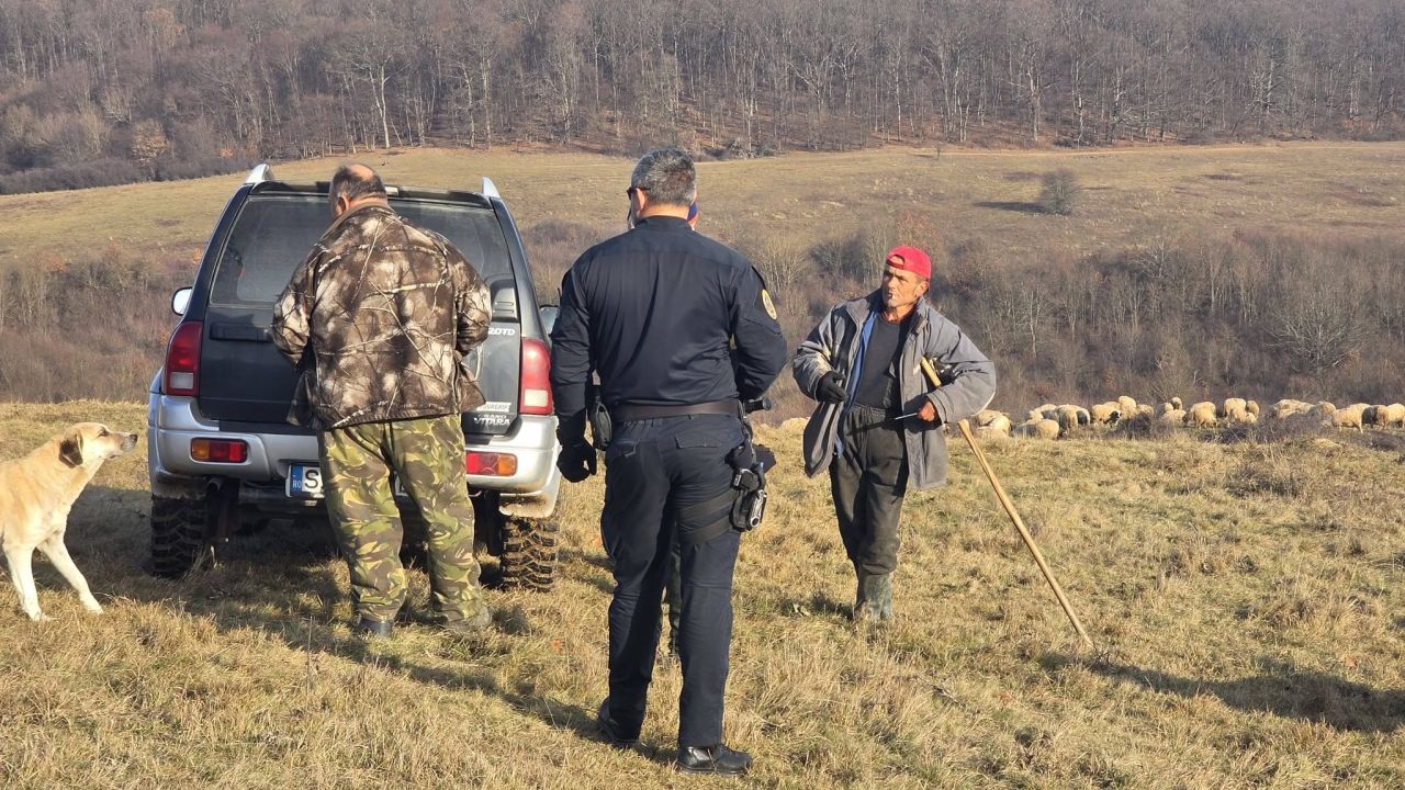 Controale la stâne! Ciobanii iau amenzi pentru pășunatul neautorizat și depășirea numărului maxim de câini