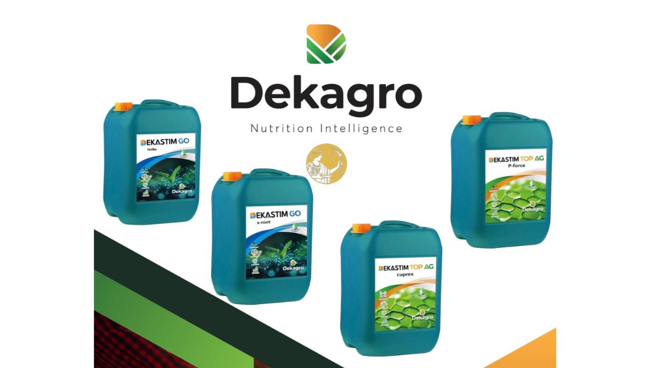Dekastim TOP AG – biostimulare în fiecare picătură