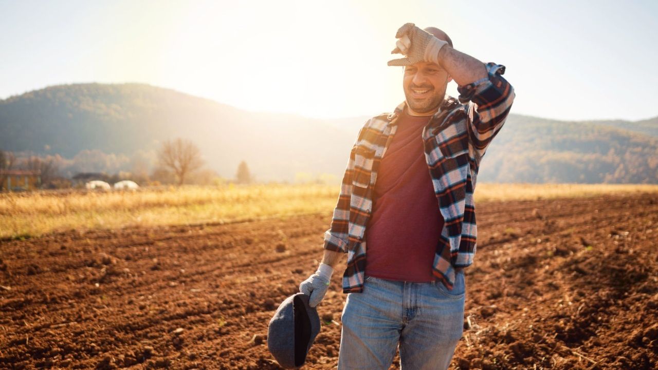 Plăți finale la APIA