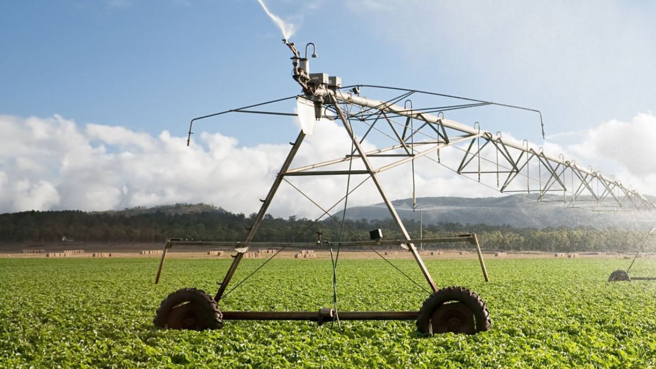 Guvernul, încă o datorie neachitată față de fermieri. ”Am depus toate actele, dar nu s-a făcut nicio plată”