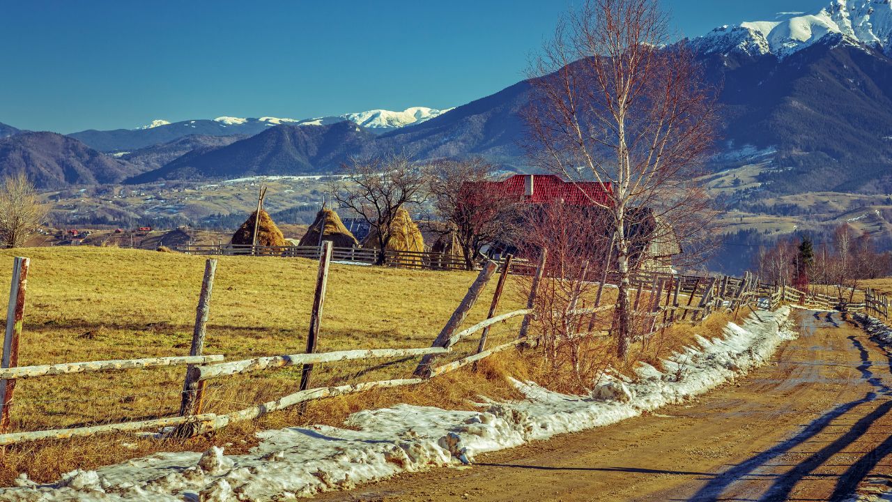 Noile reguli fiscale și sancțiuni legale pentru persoanele fizice și juridice din 2026