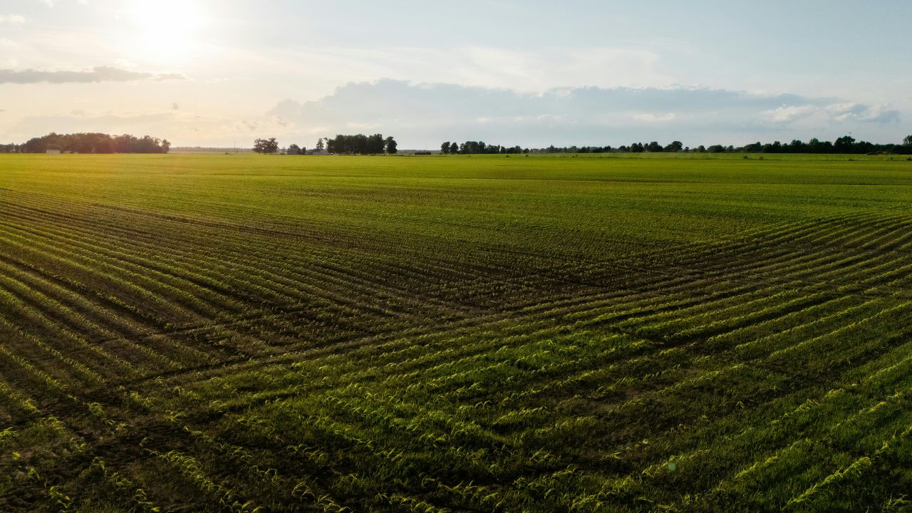 Prețul unui hectar de teren arabil și de pășune în România – prețuri pe regiuni. Media națională – 8.500 euro/ha