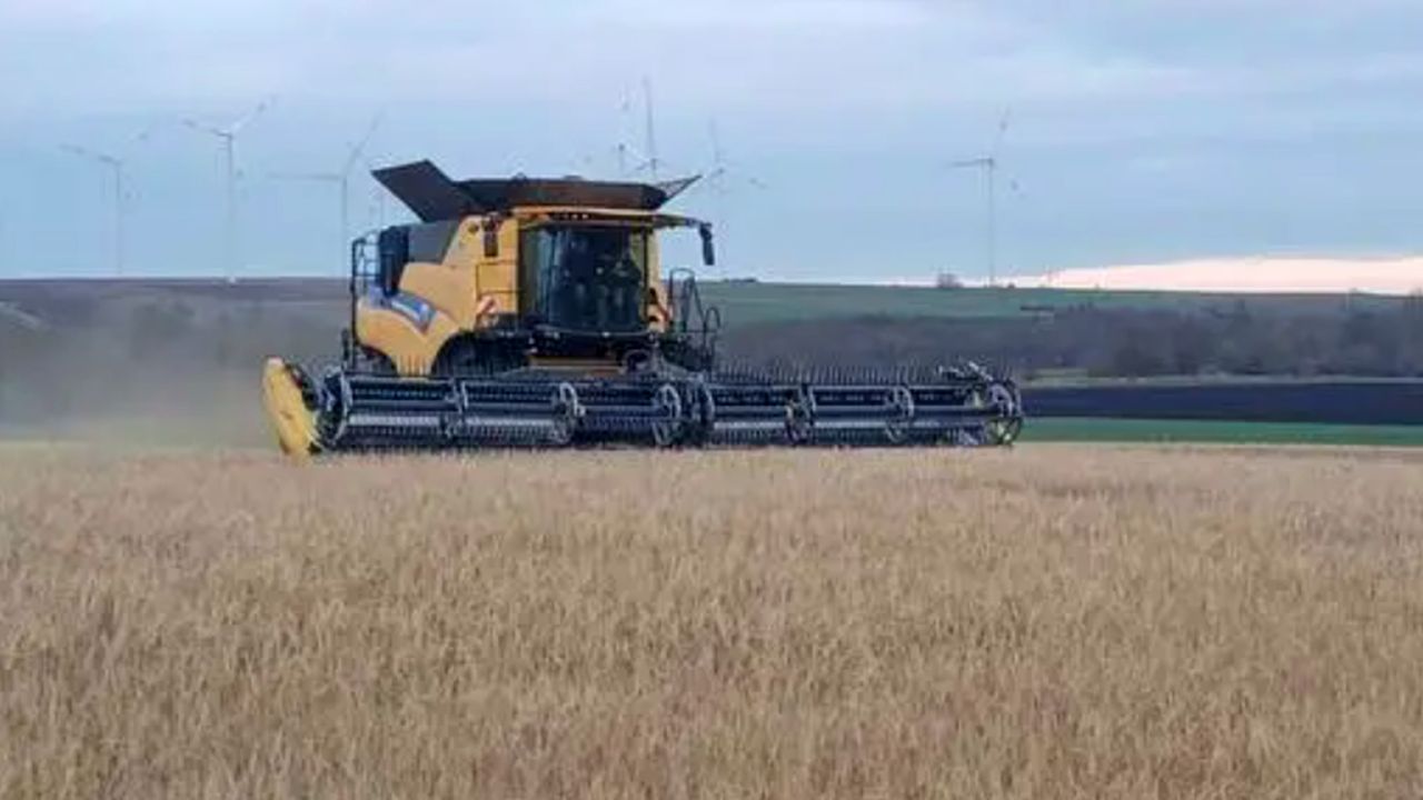 Recoltare de orz în decembrie