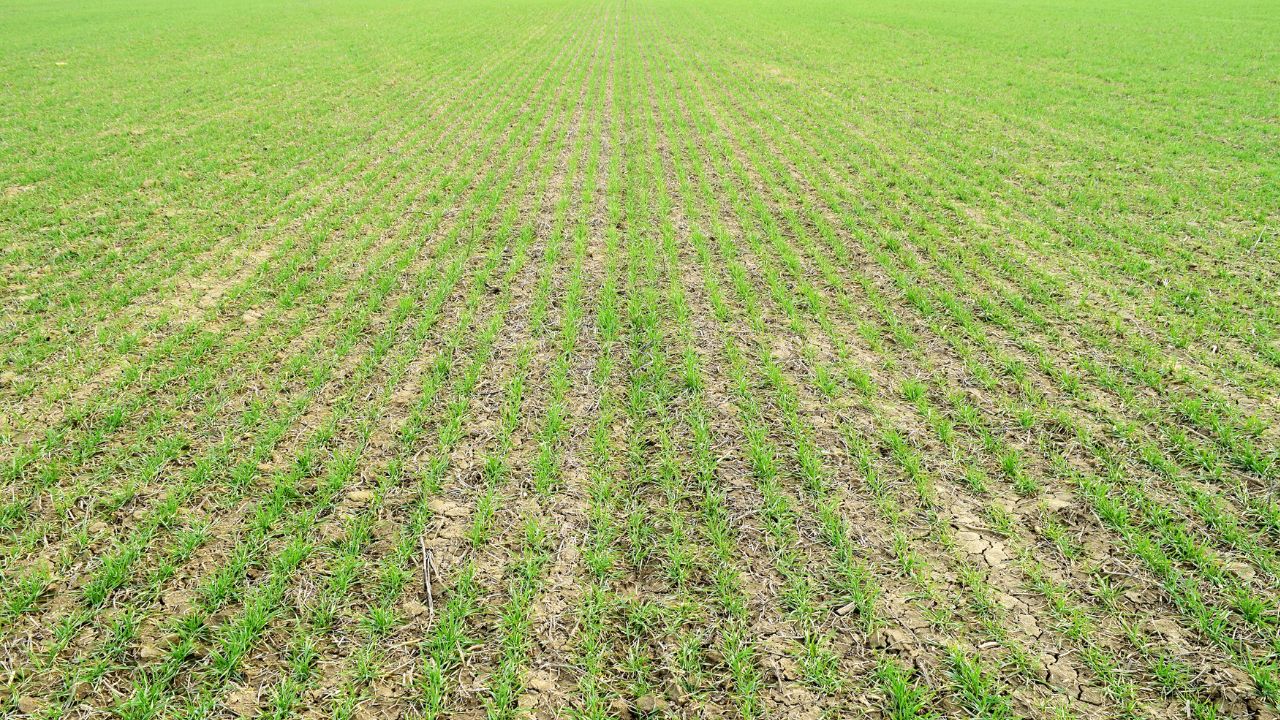 Terenuri scoase la vânzare