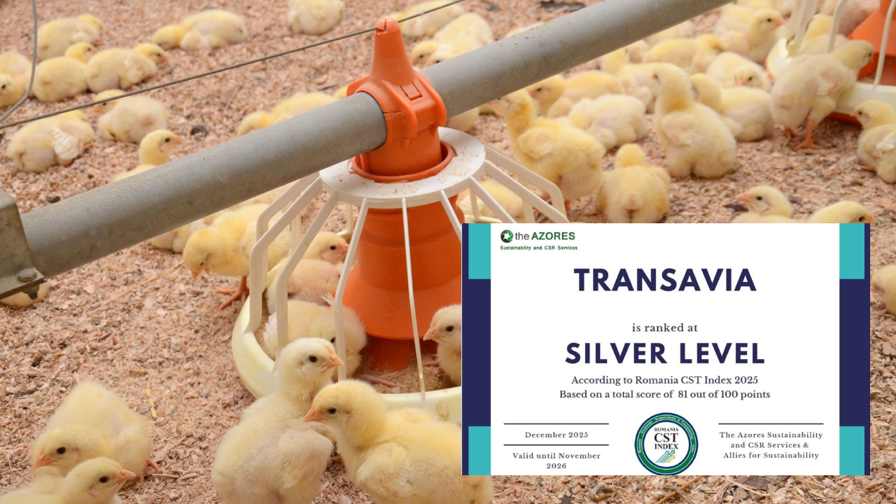 TRANSAVIA, nivel Silver în cel mai important clasament de sustenabilitate din România, CST Index 2025