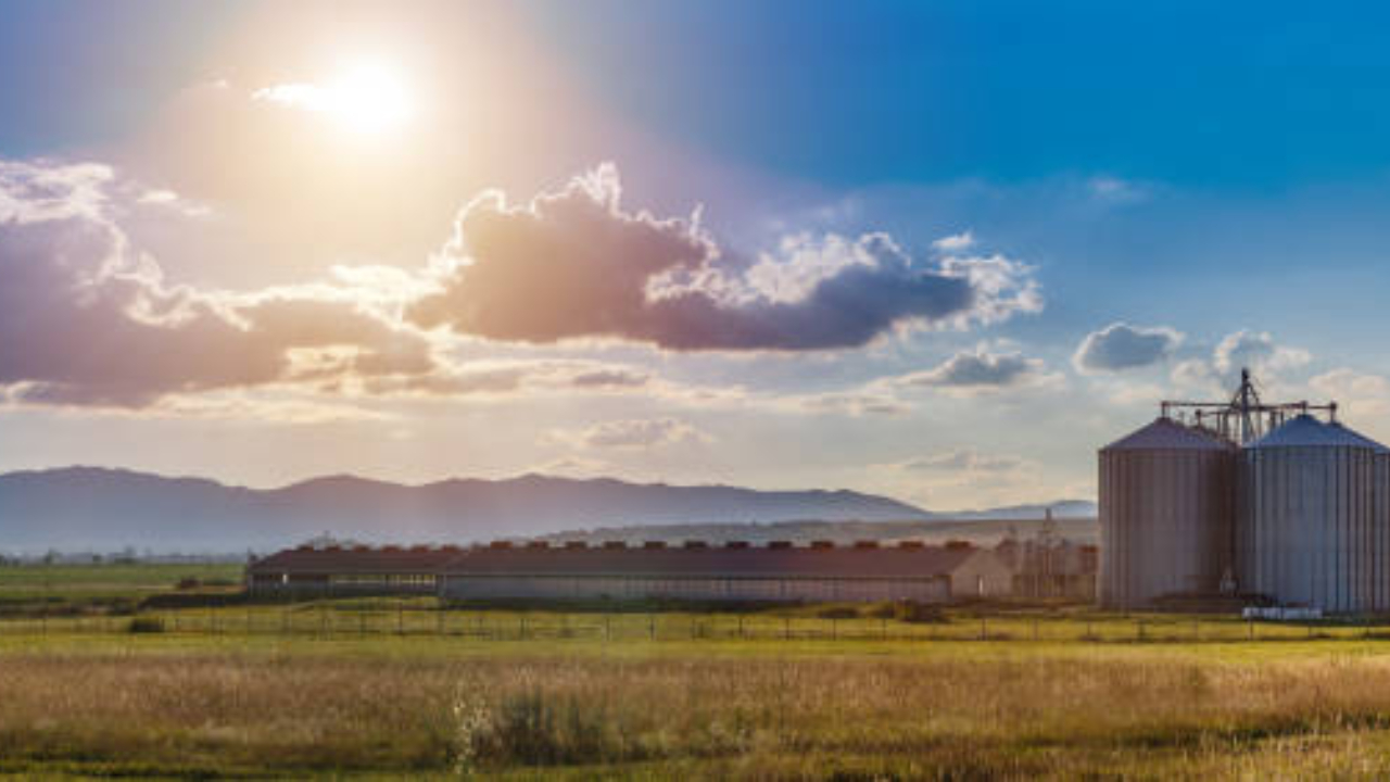 APIA: Start cereri pentru subvențiile pe bunăstare