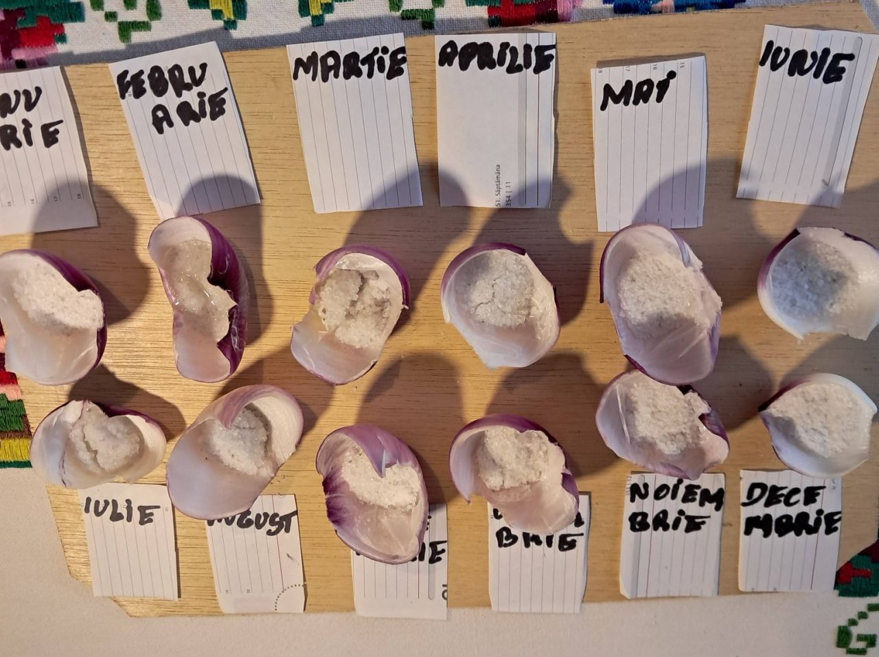 Calendarul foilor de ceapă 2026