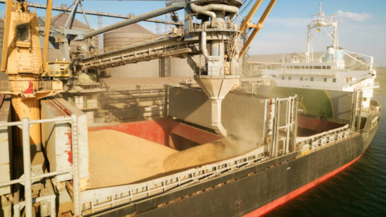 Lege în Monitorul Oficial: Licențierea importurilor din Ucraina a fost prelungită până la 31 decembrie 2026