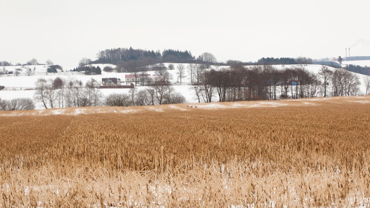 Avocat: Noua legislație permite primarilor să pună mâna pe terenurile și casele românilor cu restanțe la impozite