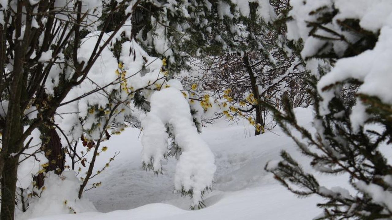 Weekend de iarnă. ANM a emis alerte de lapoviță, ninsori și polei pentru mai multe județe