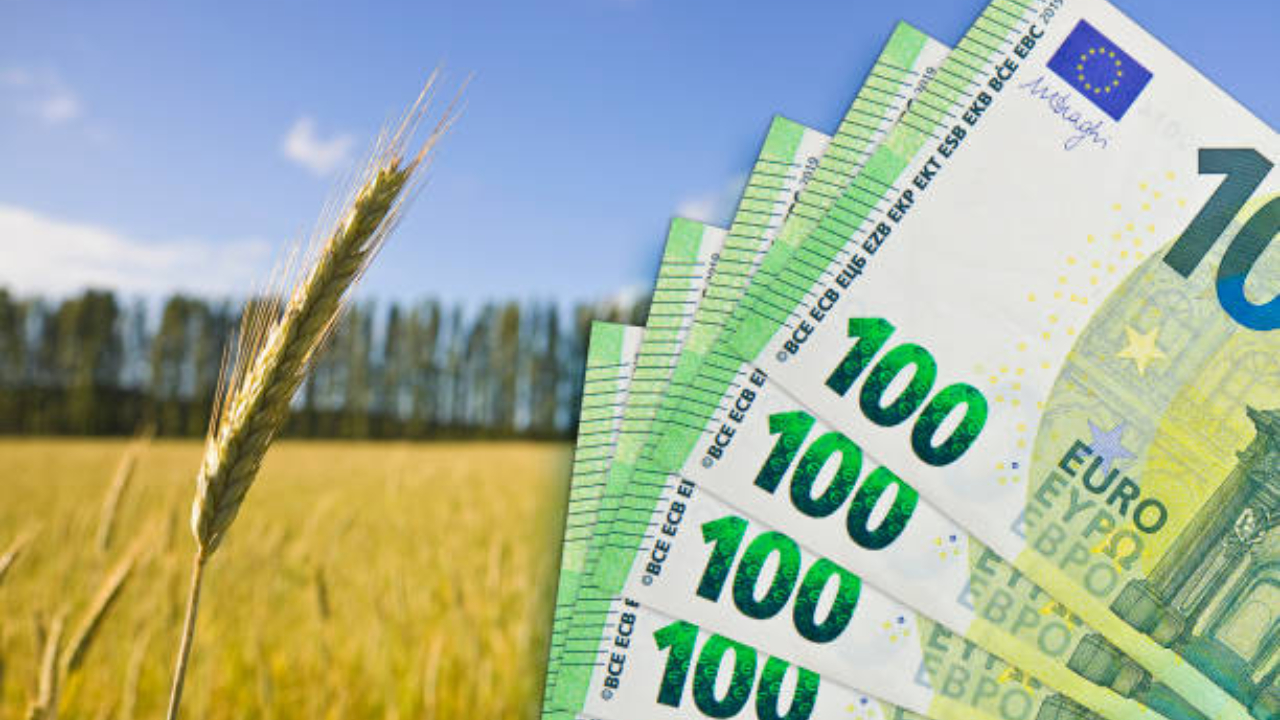 Au venit banii! Aproape 1 miliard de euro, plăți în cont pentru subvențiile APIA ale fermierilor!