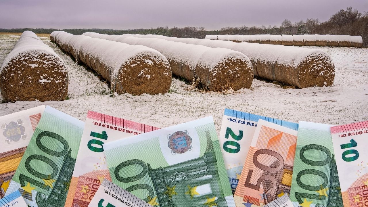 Plăți subvenții APIA 2026. Primii bani intrați în conturile fermierilor în acest an