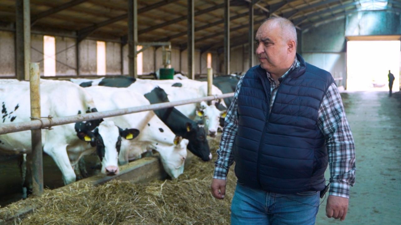 Prețul laptelui între 1,20 lei pe litru și 2,10 lei/litrul. Daniel Frei, Samus Lact: Supraproducția din Europa se resimte în preț