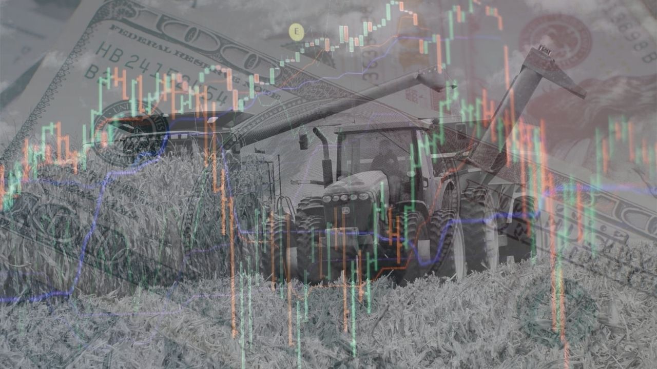 Prețurile cerealelor, în cădere liberă după ultimul raport USDA. Prognoză șocantă pentru fermieri