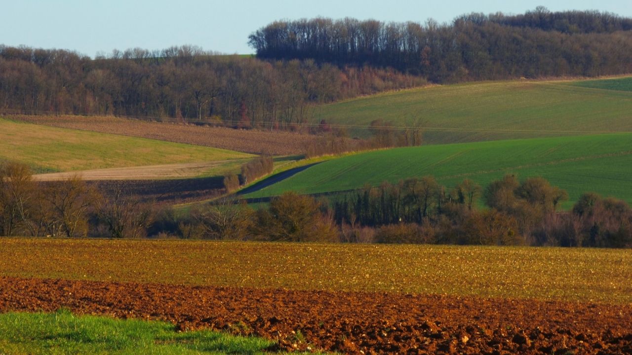 Terenurile unui fermier sunt scoase la licitație de banca unde acesta a acumulat datorii