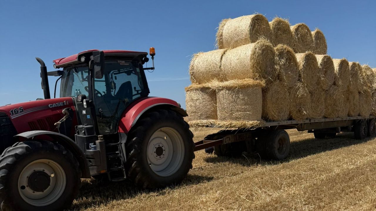 Adunarea baloților de pe câmpurile lucrate de fermierul Flavius Sas