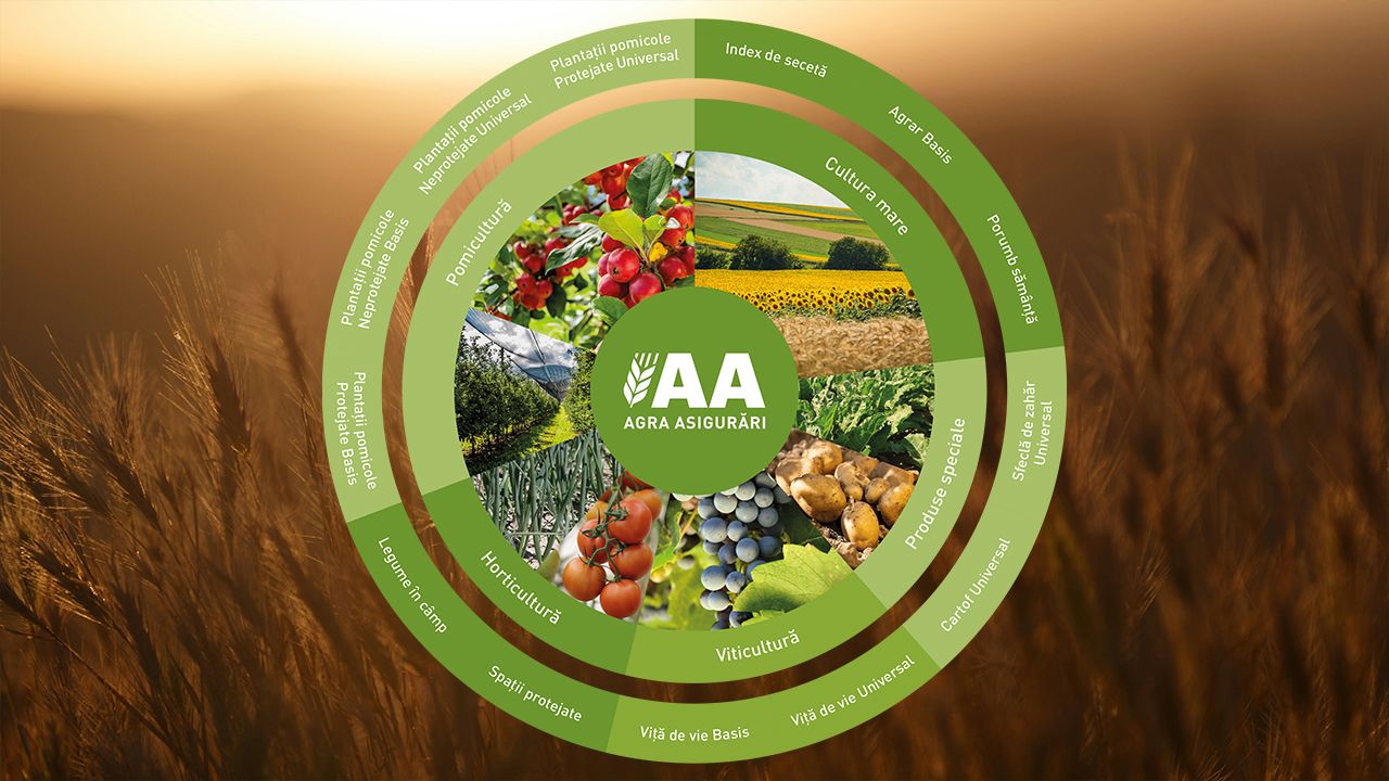 Agra Asigurări - portofoliu