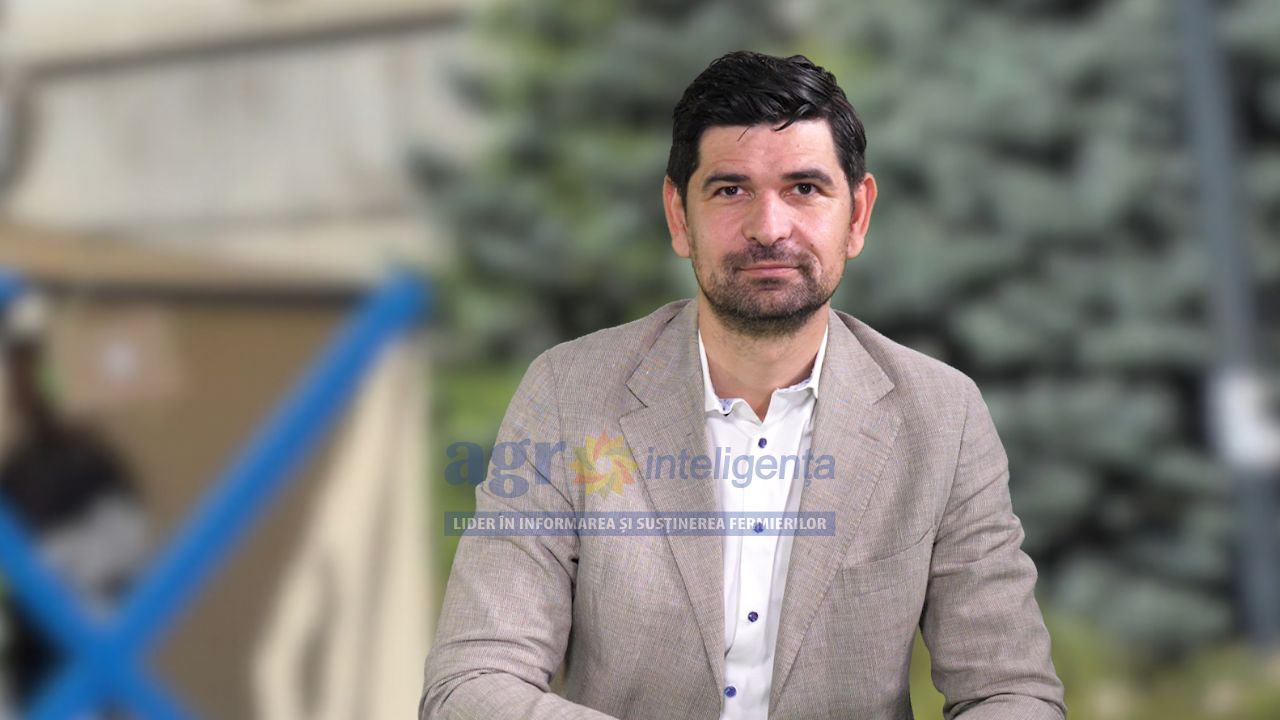 George Tuță, Primarul Sectorului 1 București