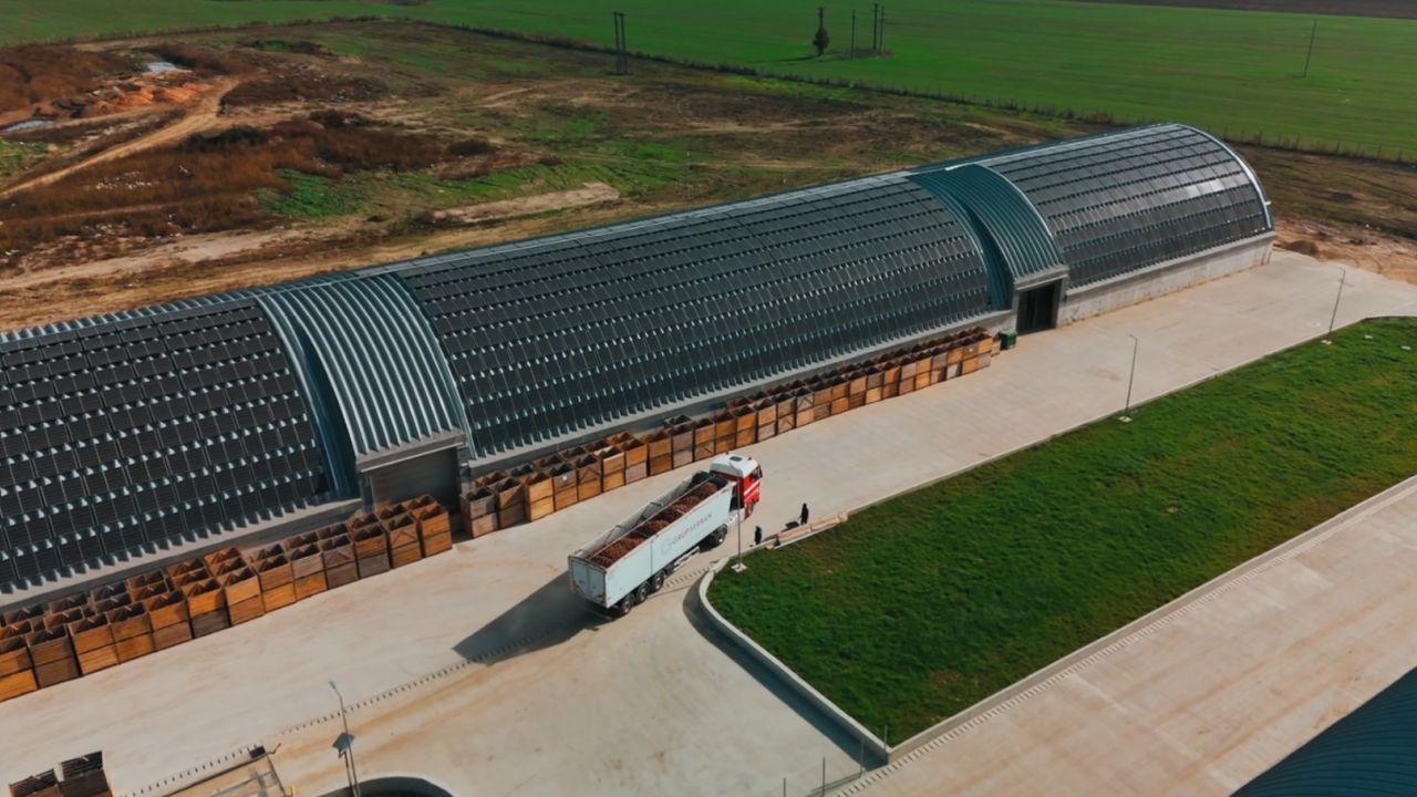 Disponibilizări la Grup Șerban Holding