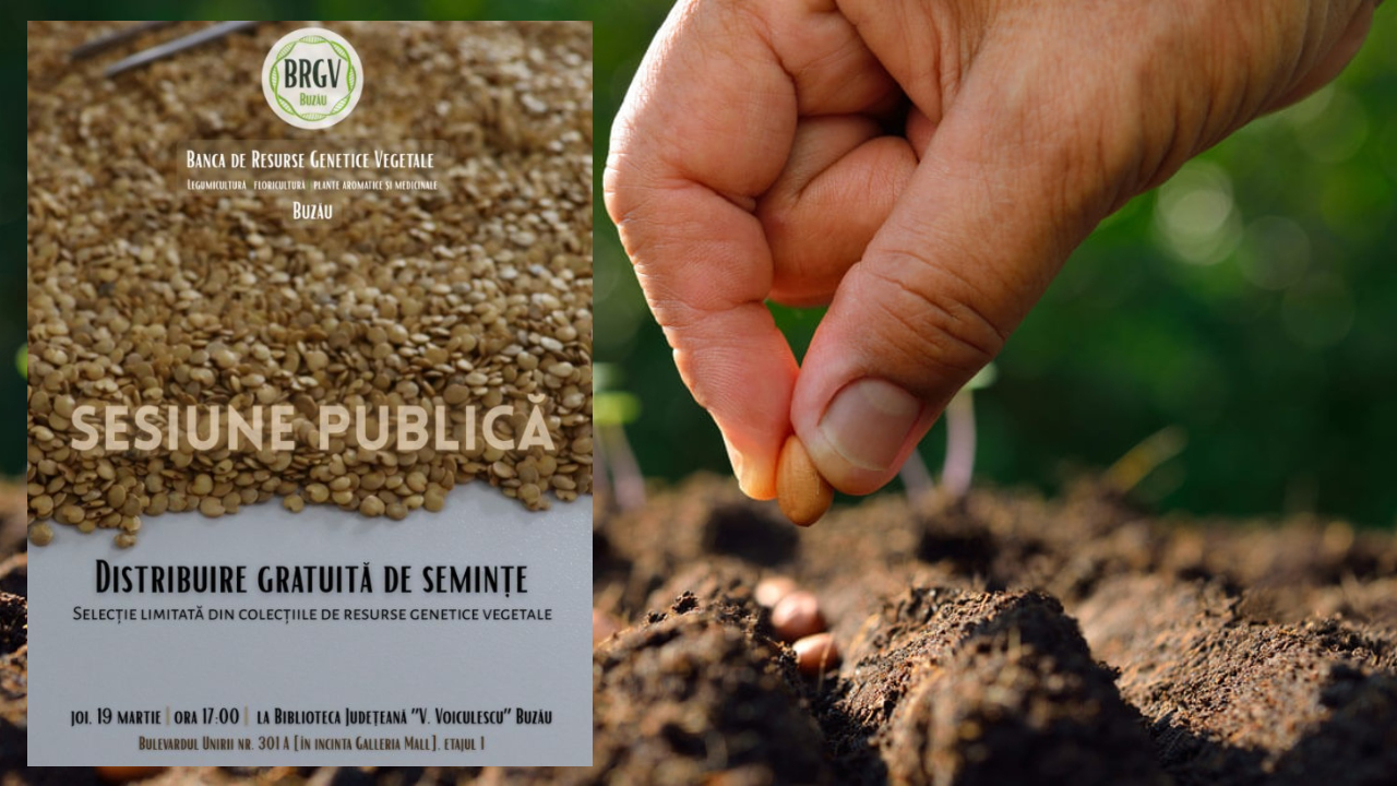 Semințe gratuite pentru micii gospodari 