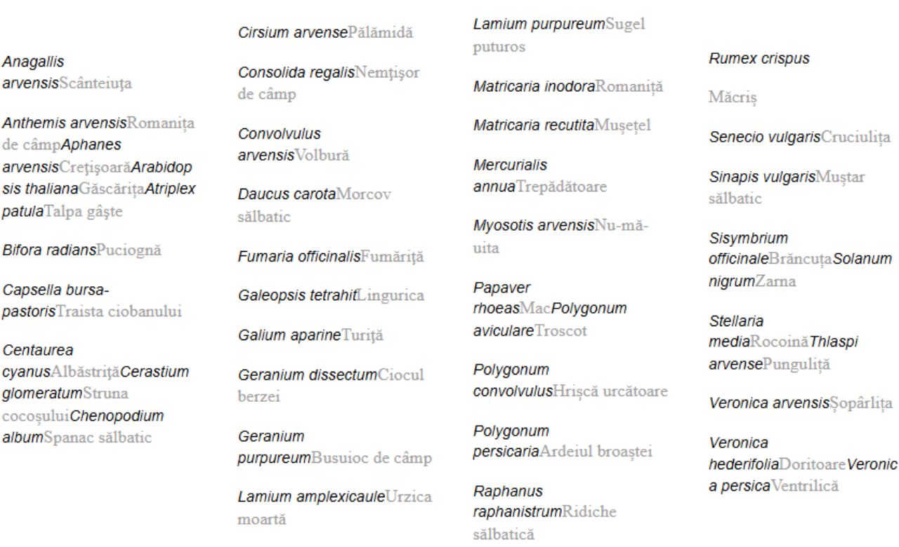 Omnera controlează un spectru larg de buruieni