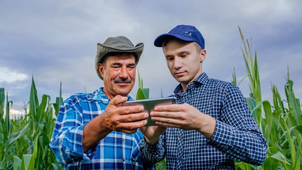 Acte pentru subvențiile APIA