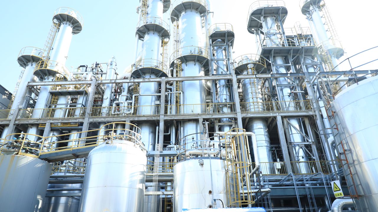 Rainbow își extinde permanent portofoliul de produse