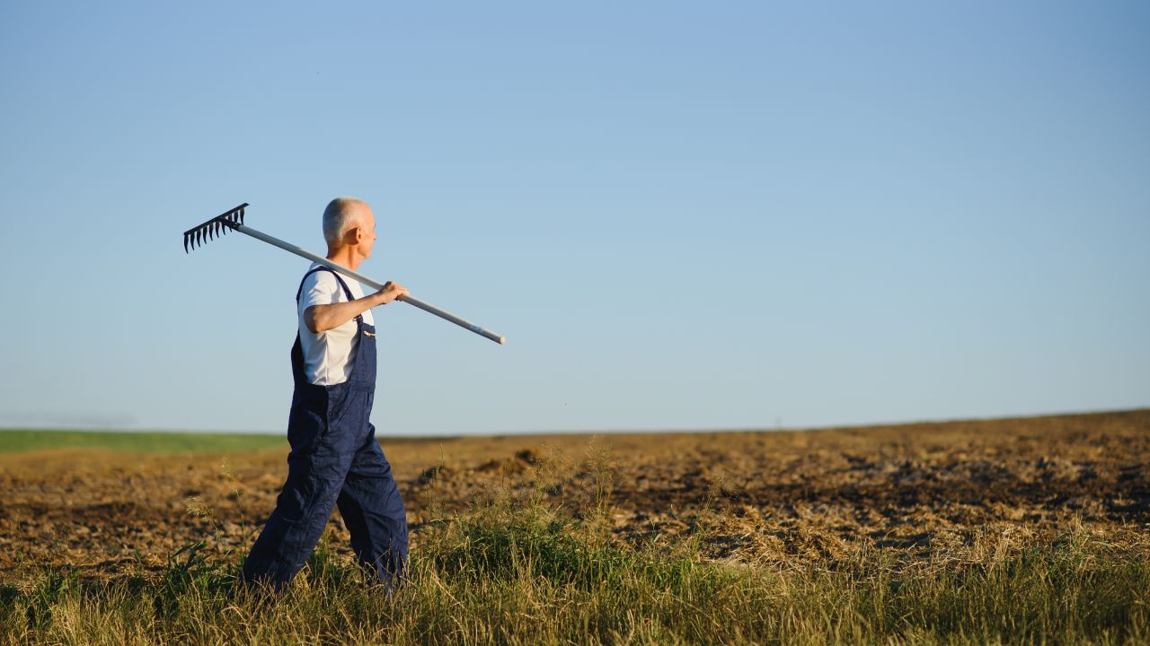 Cuantumuri APIA pentru ANT la hectar