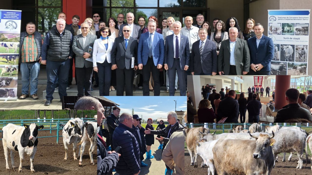 eveniment-statiunea-dancu-colaj