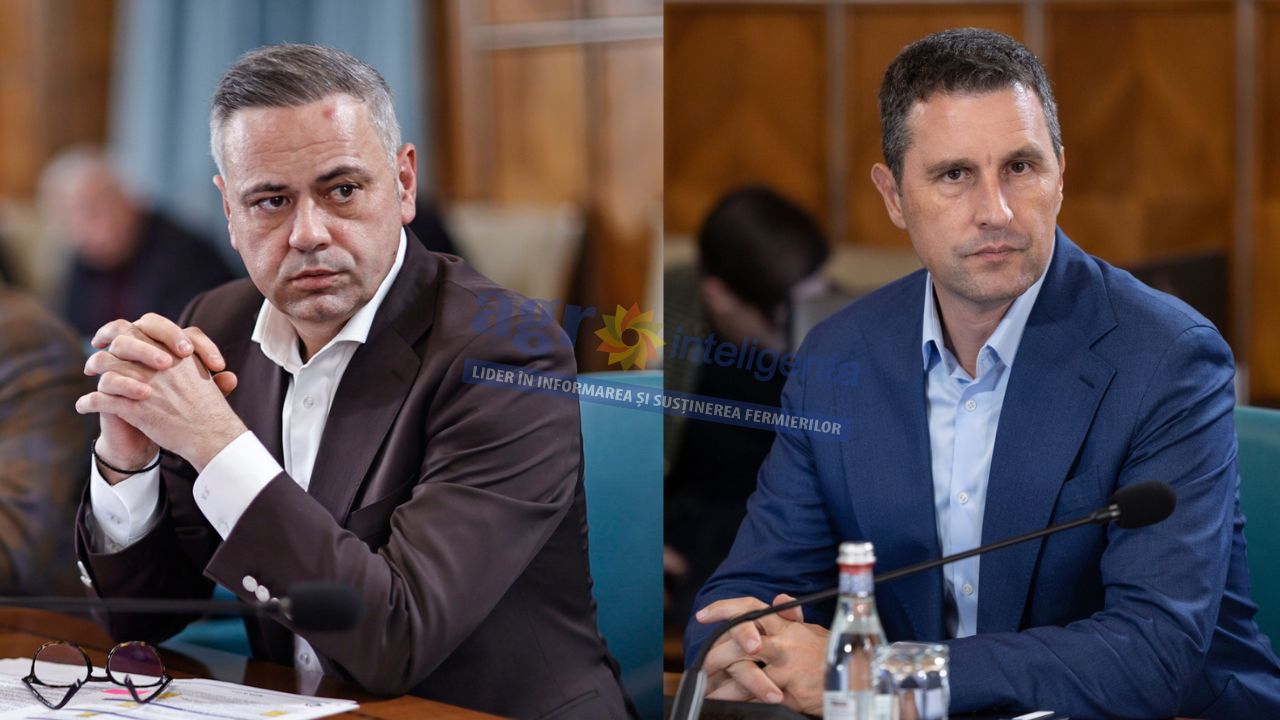 Florin Barbu (stânga) și Tanczos Barna