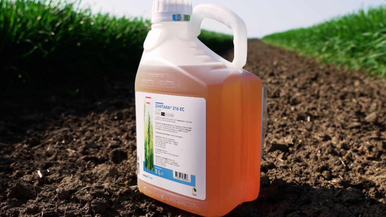 Fungicidul Zantara, de la FMC