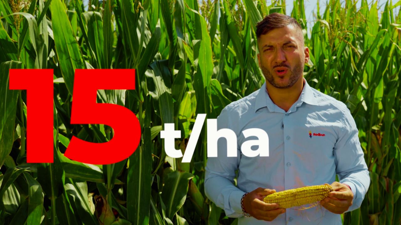 Florin Migdan, Rodbun, într-o solă de BC Kekec